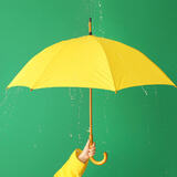 Os 10 melhores guarda-chuvas de 2024: dobrável, tradicional e muito mais!