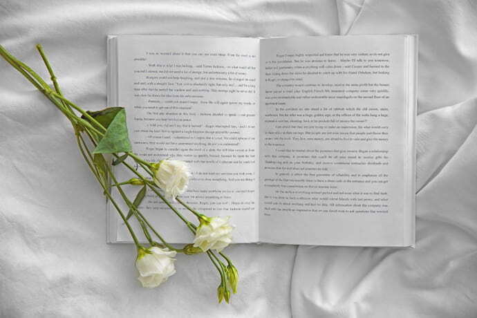 Um livro aberto e uma rosa