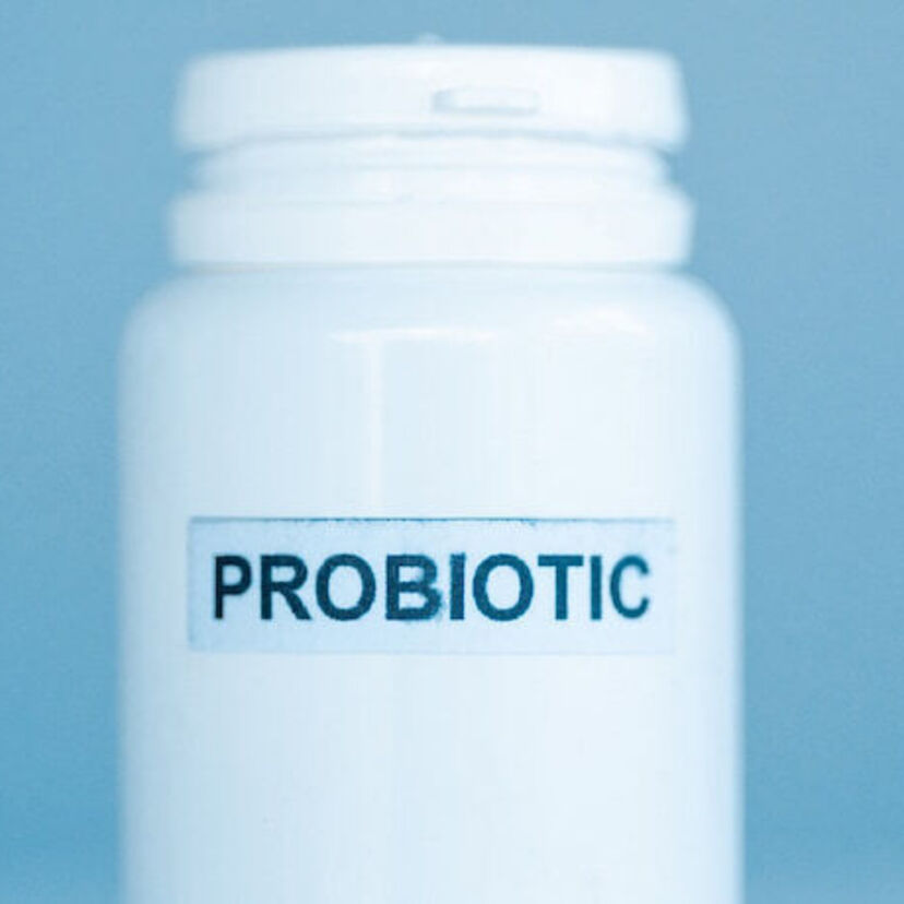 Os 10 melhores probióticos de 2023: PB8, Nutrition Now e mais!