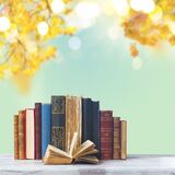 Os 10 melhores livros evangélicos em 2022: Jhon Bunyan, Rick Warren e mais!
