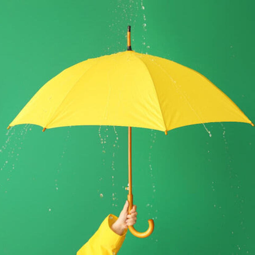 Os 10 melhores guarda-chuvas de 2024: dobrável, tradicional e muito mais!