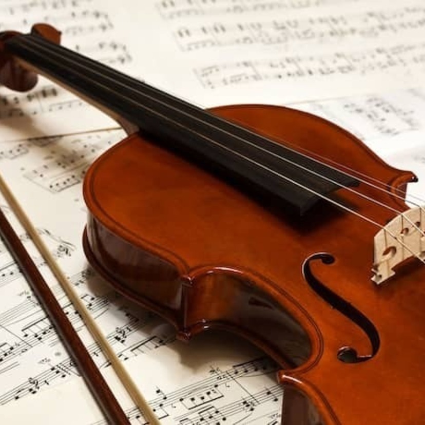 Os 10 melhores violinos para iniciantes de 2023: Dominante, EAGLE e mais!