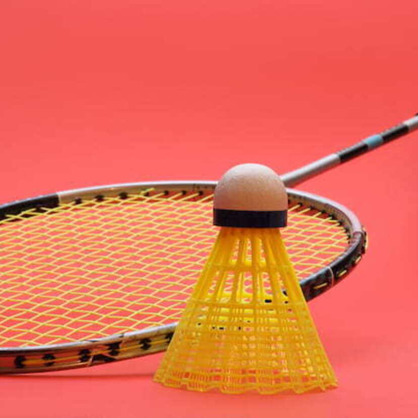 As 10 melhores raquetes de badminton em 2024: Yonex, Vollo Sports e muito mais!
