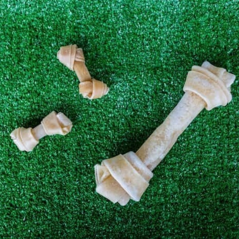 Os 10 melhores ossos para cachorro roer de 2022: Churraspet, Buddy Toys e muito mais!