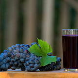 Os 10 melhores sucos de uva integrais de 2024: Aurora, Mitto e muito mais! 