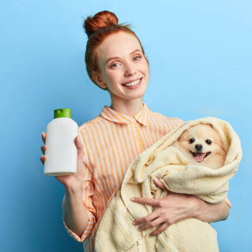 Os 10 Melhores Shampoo a Seco para Cachorro de 2022: Pet Society, Beeps e mais!
