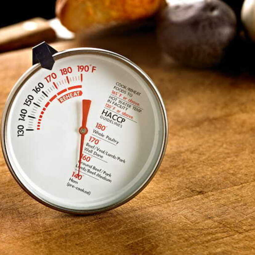 Os 10 melhores termômetros culinários de 2024: ThermoPro, Tp101 e muito mais!