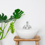Plantas para banheiro: pequenos, para decorar, cuidados e mais