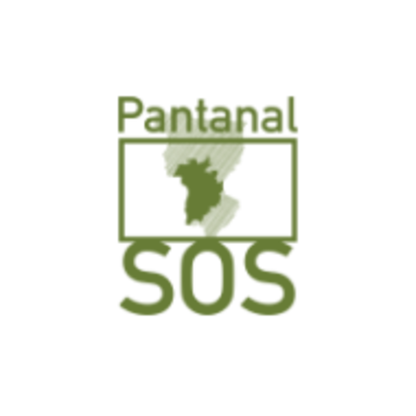 SOS Pantanal: uma organização que promove o meio ambiente!