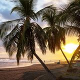 Costa Rica: saiba o que fazer, quando ir e dicas de primeira viagem!