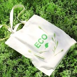 As 10 Melhores Ecobags de 2024: de algodão, personalizadas e muito mais! 