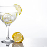 As 10 Melhores Taças de Gin de 2023: vidro, cristal e muito mais! 