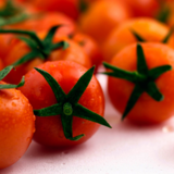 Como plantar tomate cereja em vasos: fazer mudas, rega e muito mais!