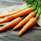Como plantar cenoura: em casa, em vaso e dicas para um bom cultivo!