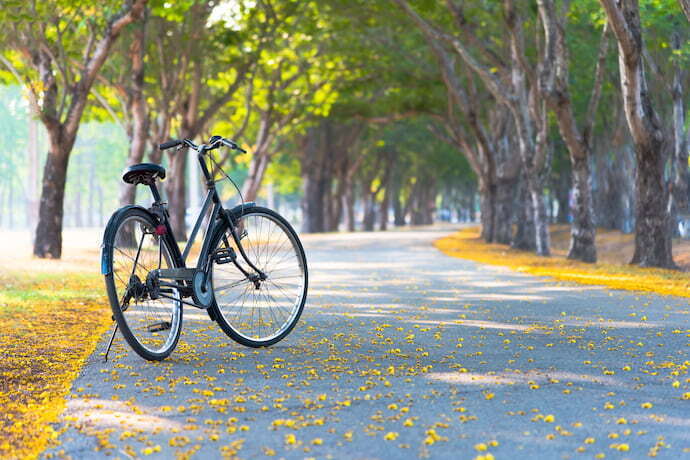 Bicicleta em rua arborizada 