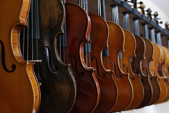 Variedade de violinos