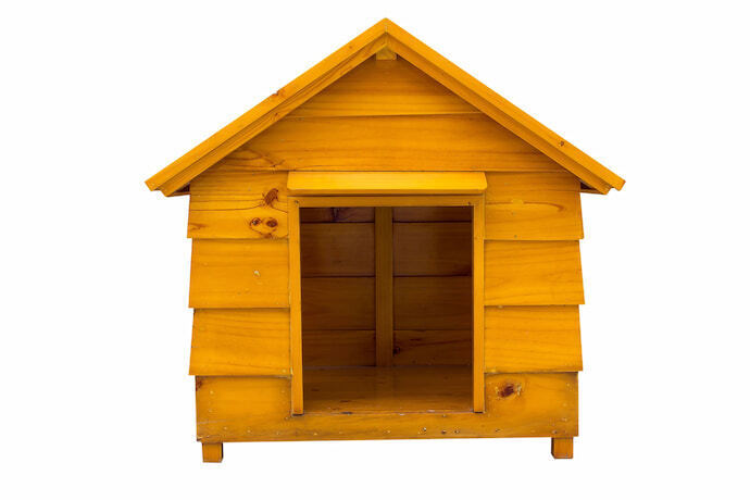 casa de cachorro de madeira