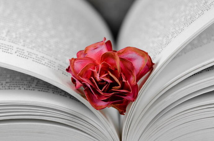 Livro e uma rosa