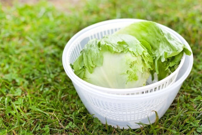 Secador de salada branco na grama.