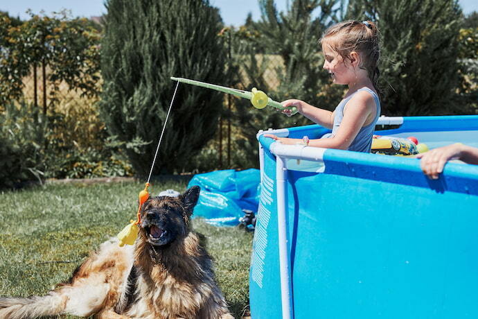 Criança dentro da piscina com armação brincando com cachorro