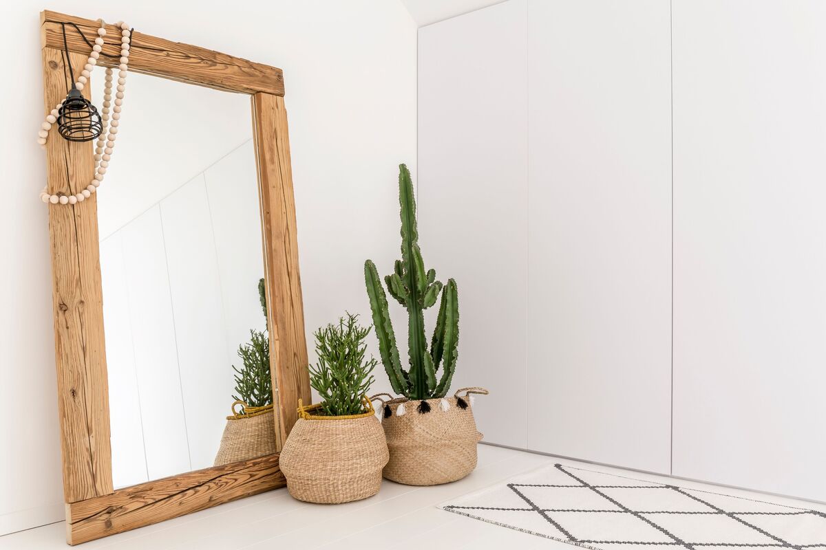 Espelho grande com moldura de madeira com plantas decorativas ao lado
