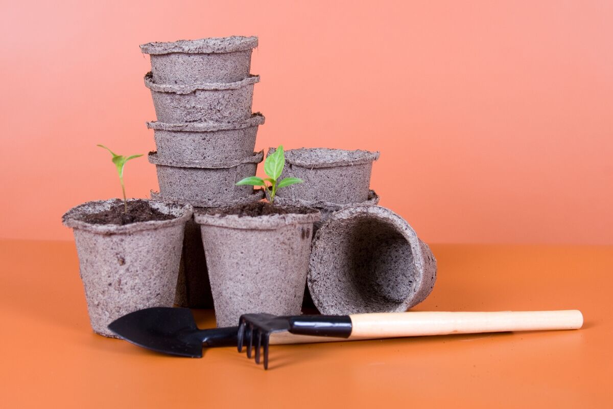equipamentos de jardinagem para plantar pimenta biquinho em vaso
