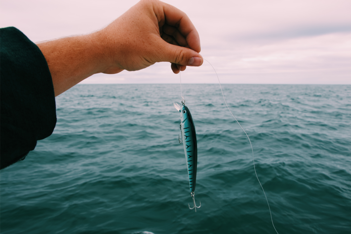 Isca de pesca branca e azul.
