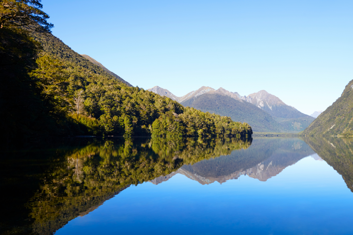 Vista do lago e a floresta de Milford Sound 