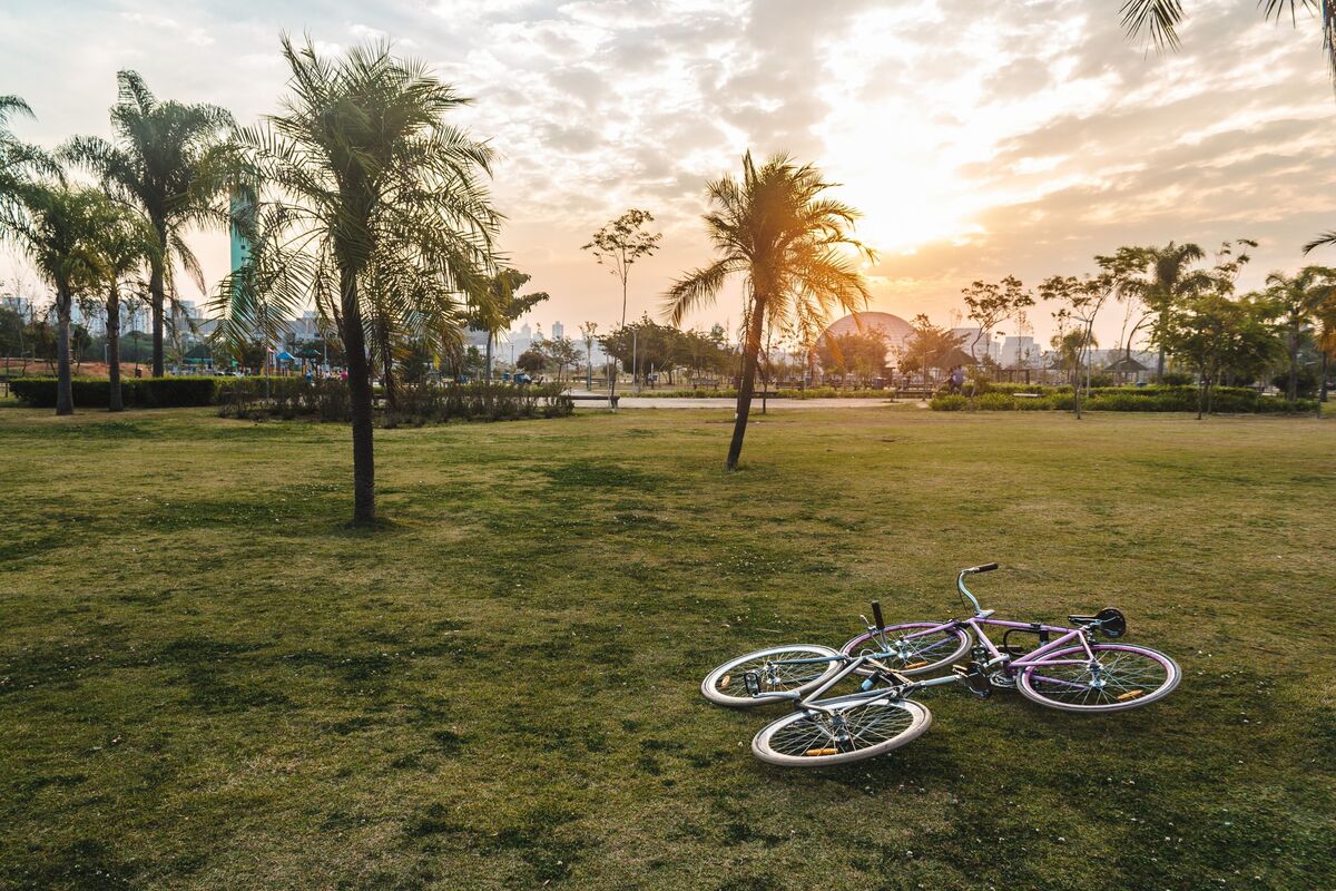 Bicicletas de crianças deixadas em gramado do Parque Villa-Lobos