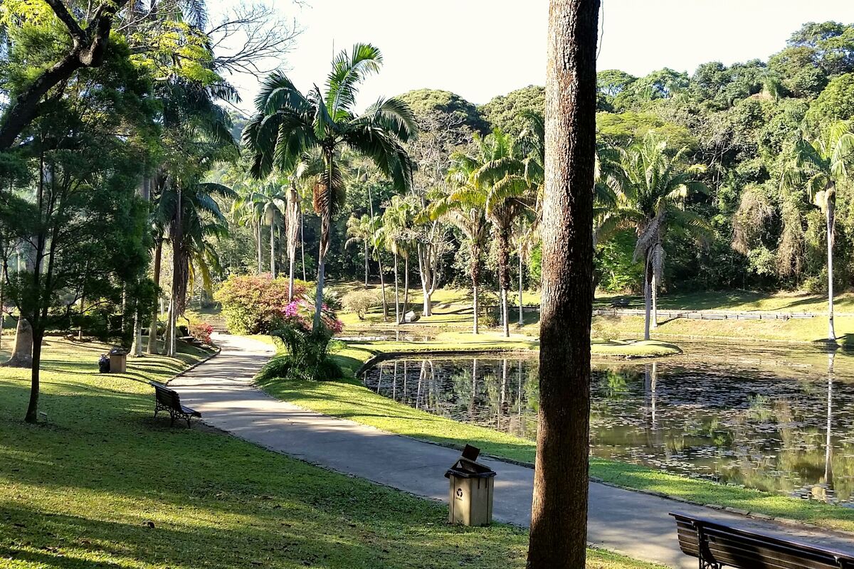 Lago e área verde no Jardim Botânico de São Paulo