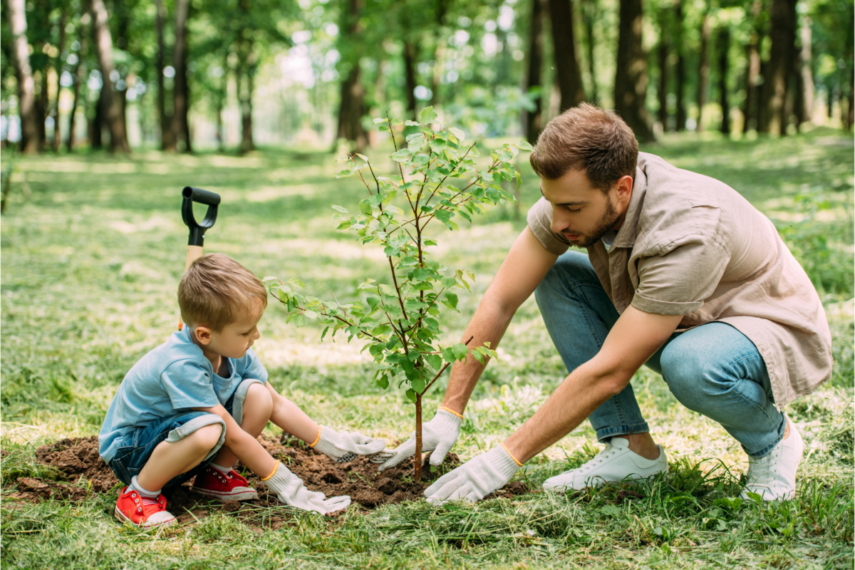 Vista lateral de pai e filho, plantando uma árvore no parque.
