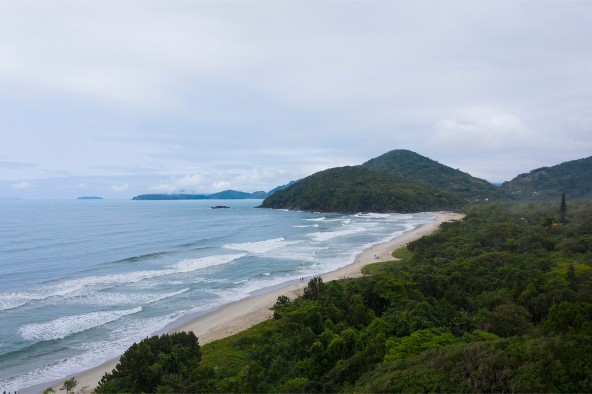 Panorama da praia de Itamambuca com o mar e a floresta