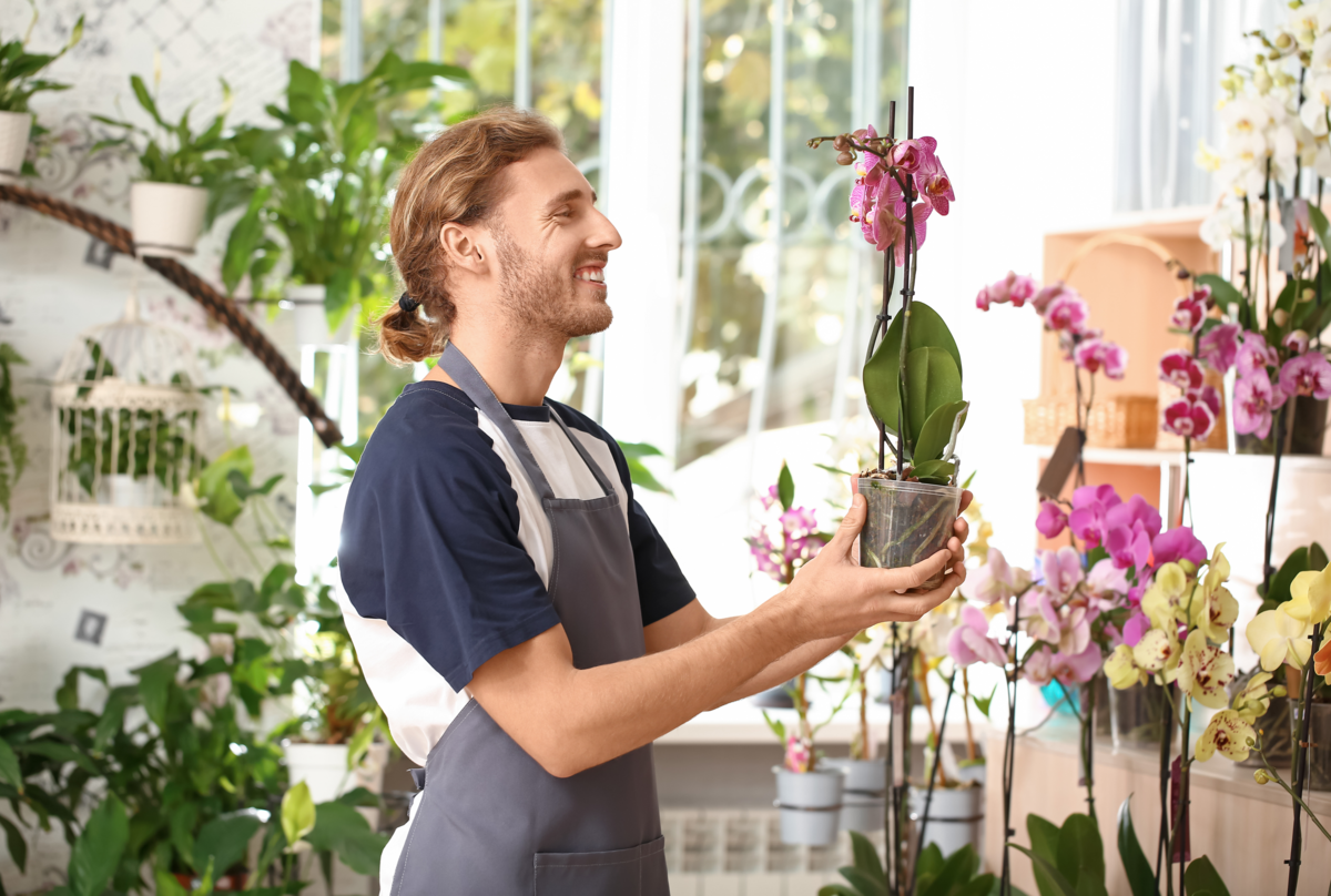 Homem segurando um vaso de orquídea sorrindo, próximo a uma estante com várias outras