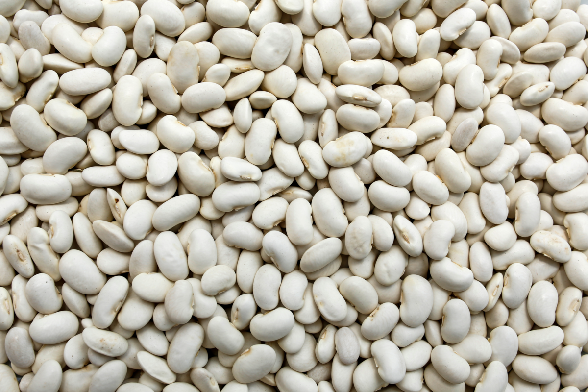 Vários grãos de feijão branco ocupando toda a imagem