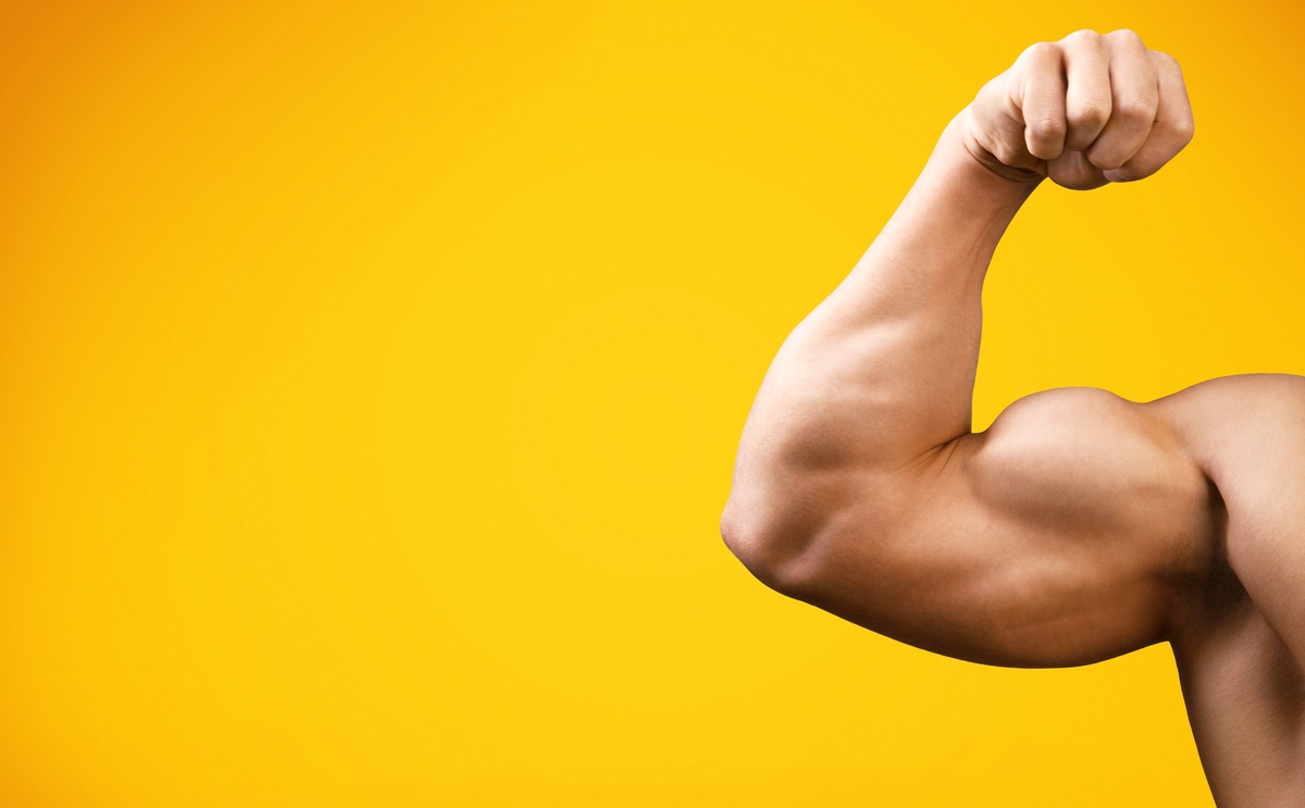 Bíceps musculoso 