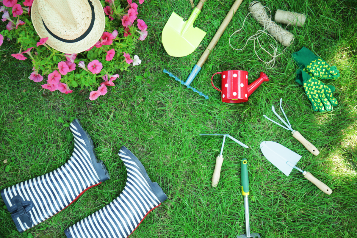 Lindas flores e ferramentas de jardinagem em gramado