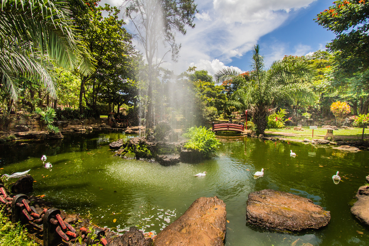 Jardim japonês em Caldas Novas 