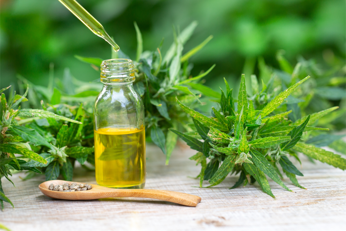 Óleo de haxixe, produtos de maconha medicinal, incluindo as folhas de Cannabis.