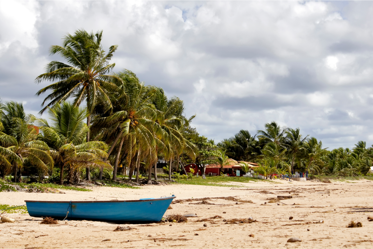 Barco azul na areia e belos coqueiros ao redor.