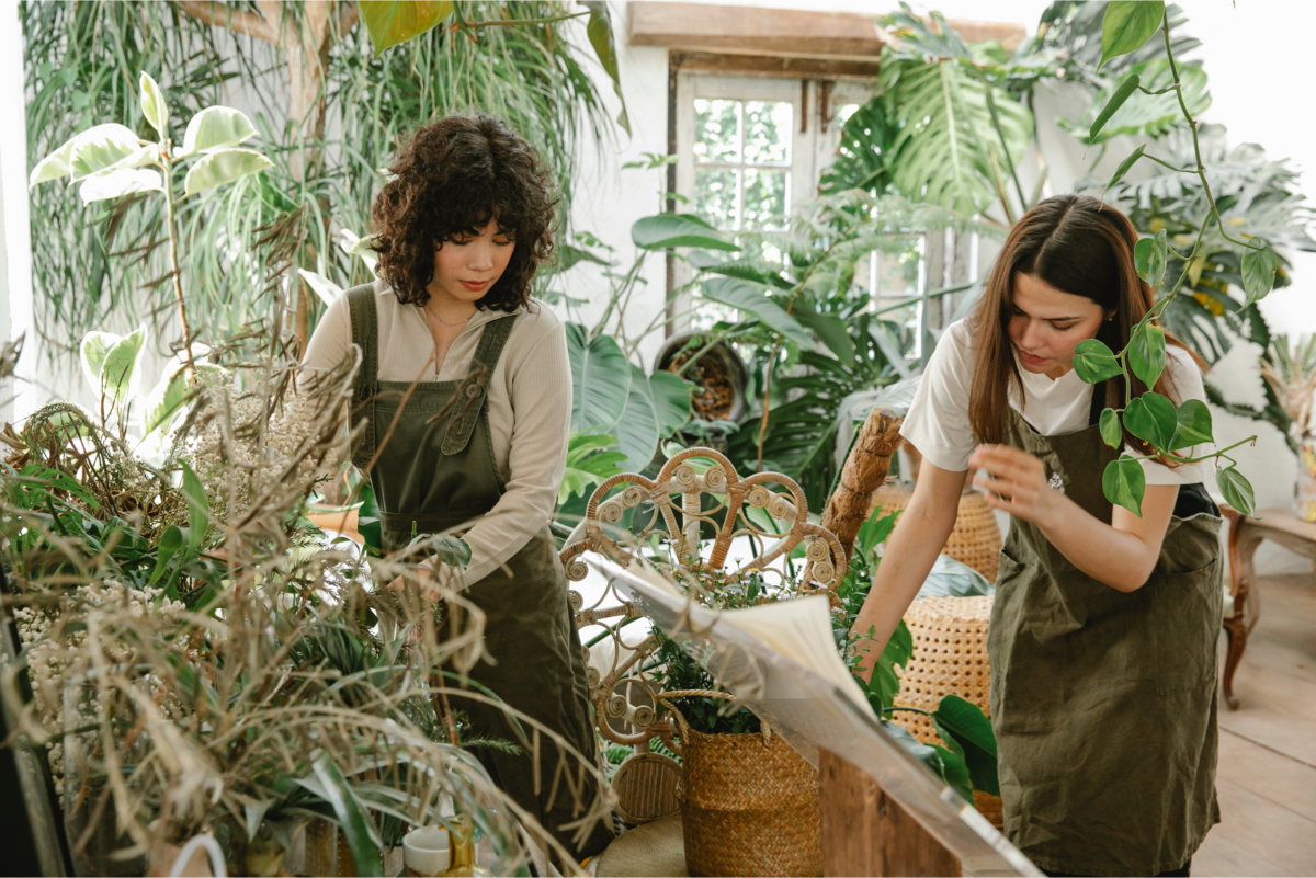 Mulheres cuidando de plantas