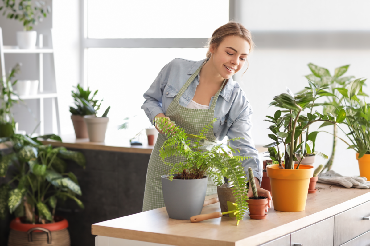 Mulher com avental xadrez cuidando de suas plantas em casa.