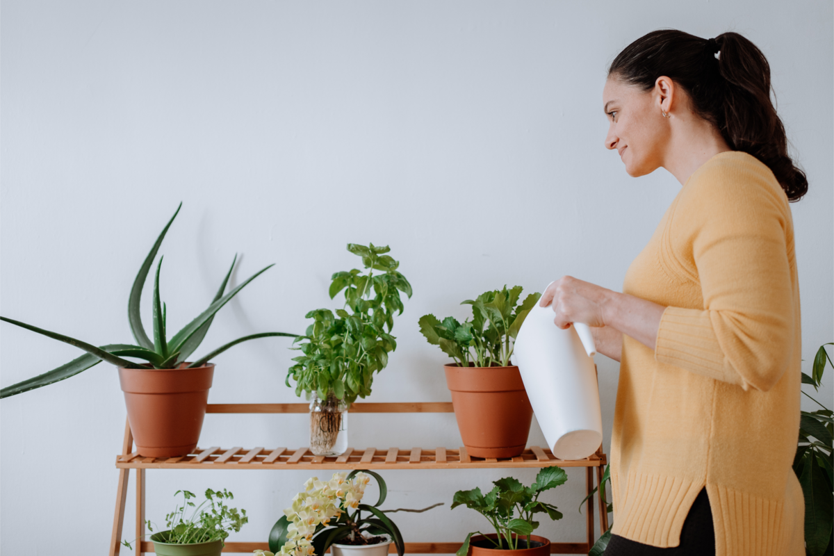Uma mulher cuidando de seus vasos de plantas