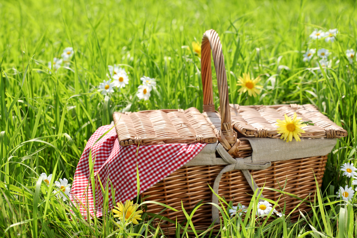 Cesta de piquenique com toalha xadrez em um lindo campo de flores.