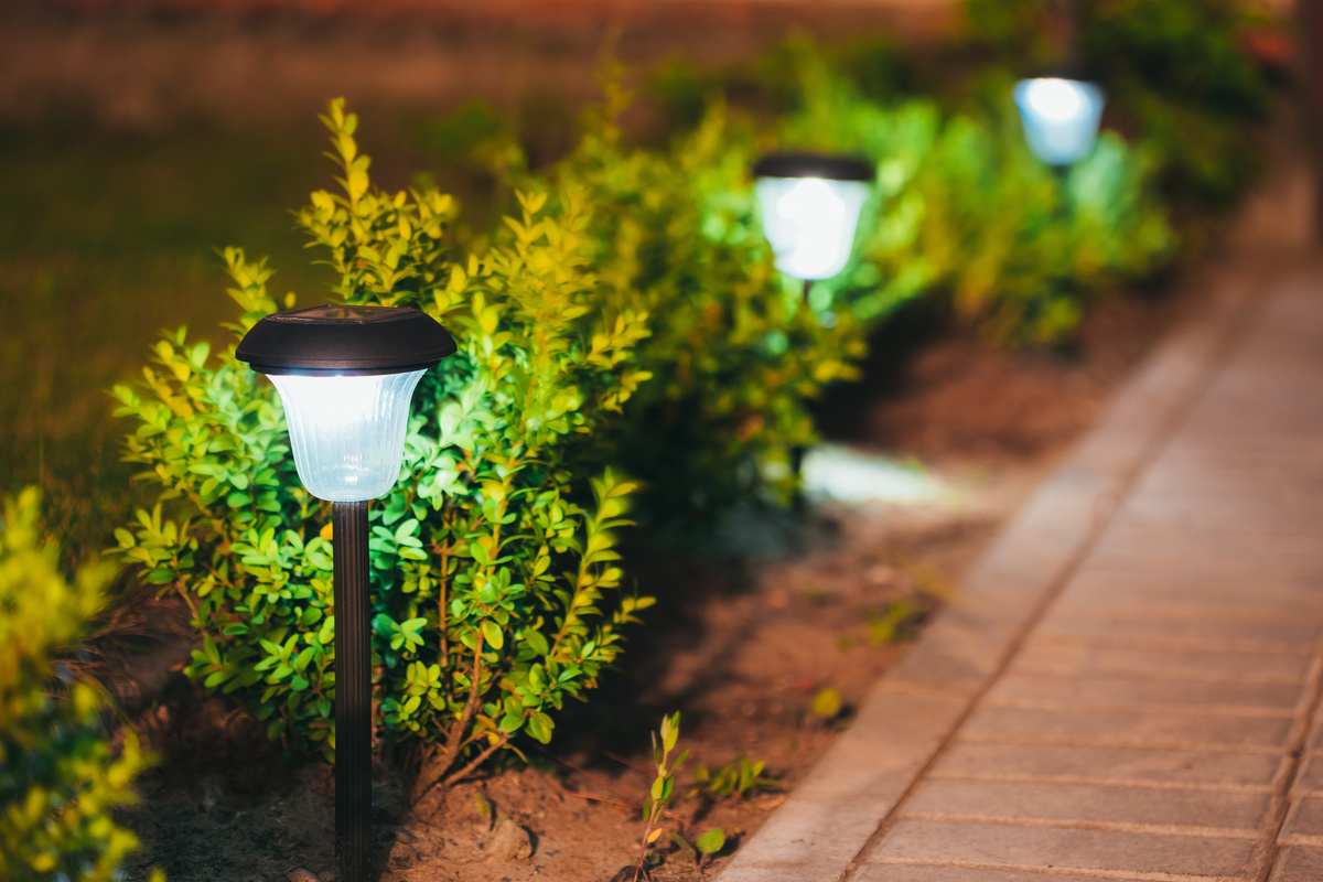 Lanternas no solo e plantas