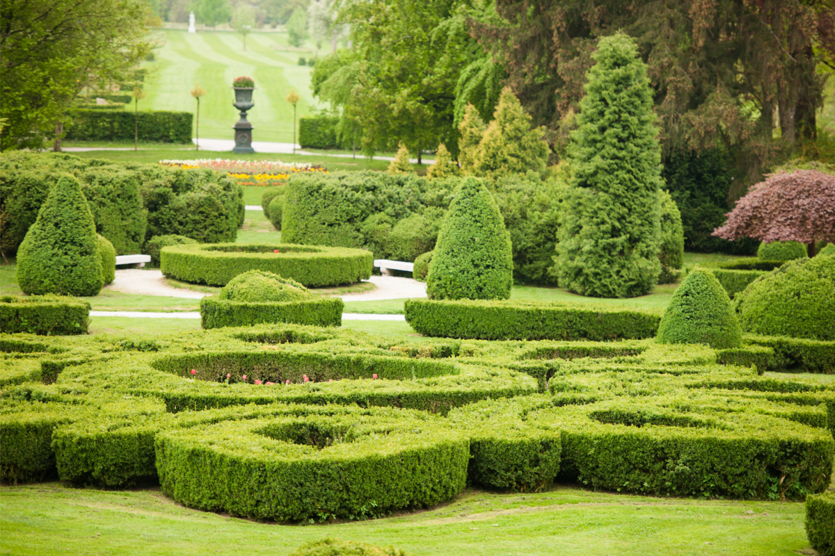 Jardim francês com arbustos de formatos diferentes