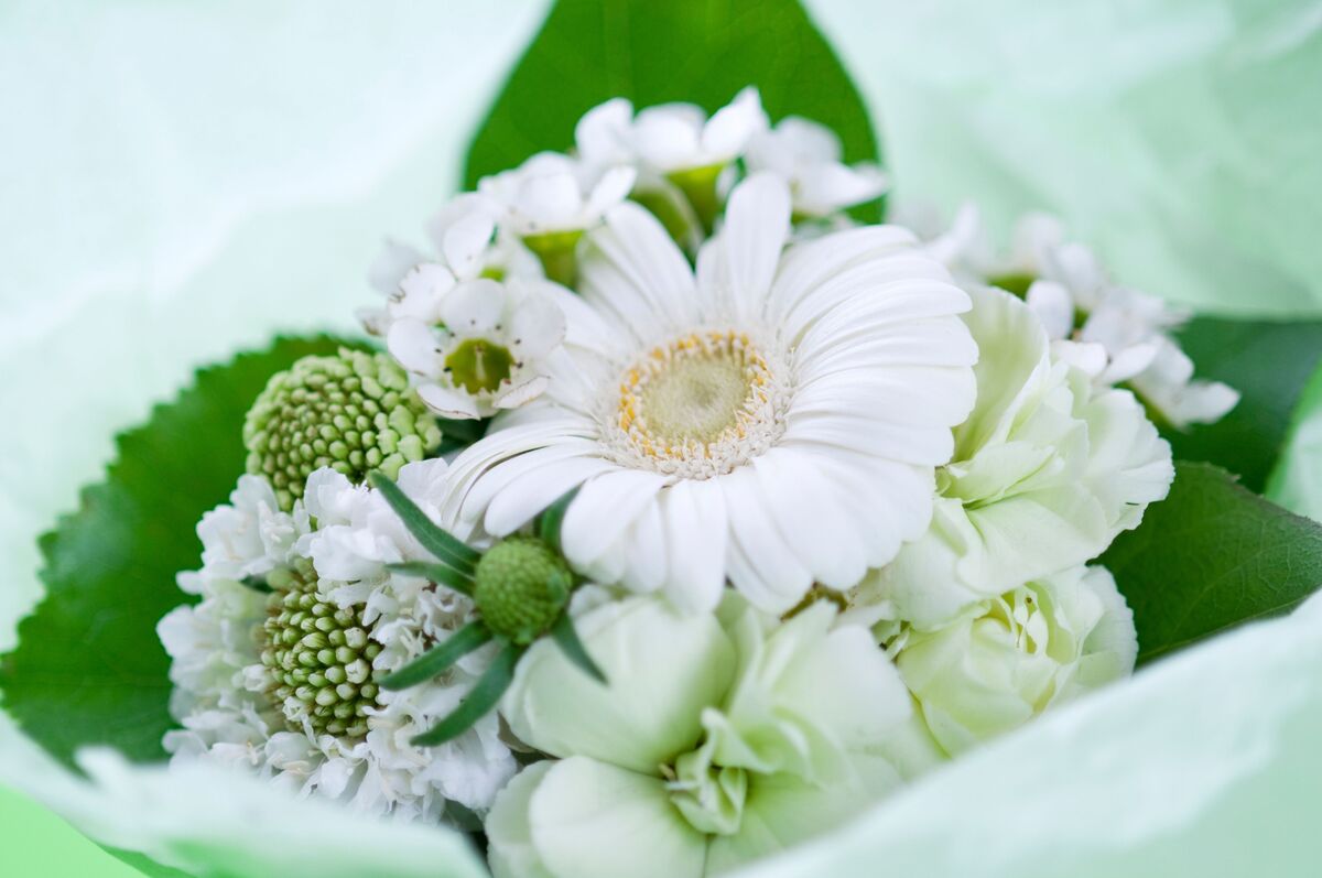 Buquê de flores brancas