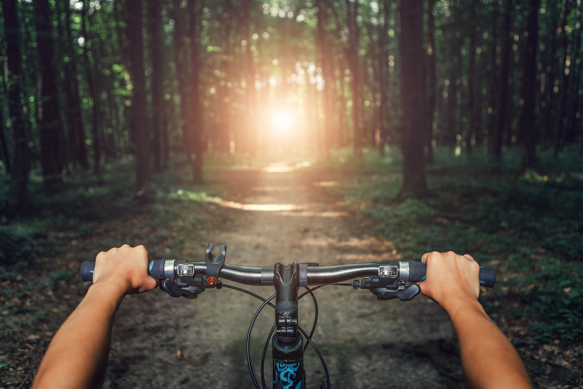 Guidão de bicicleta com duas mãos segurando e a frente uma trilha da floresta 
