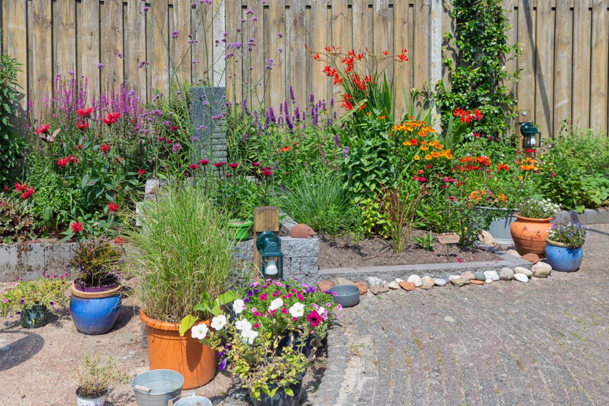 Jardim ornamental com plantas coloridas em canteiro de flores e vasos.