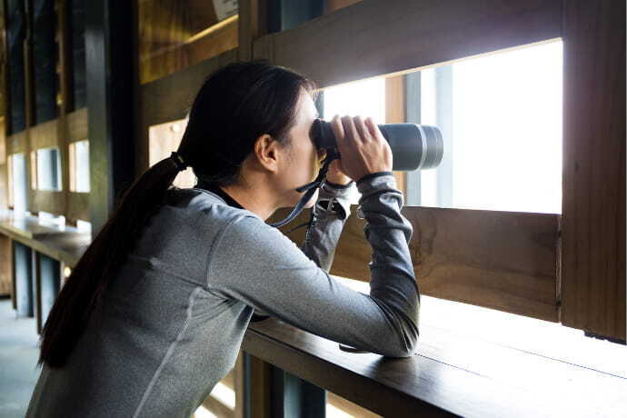 Mulher olhando pela janela com binóculo