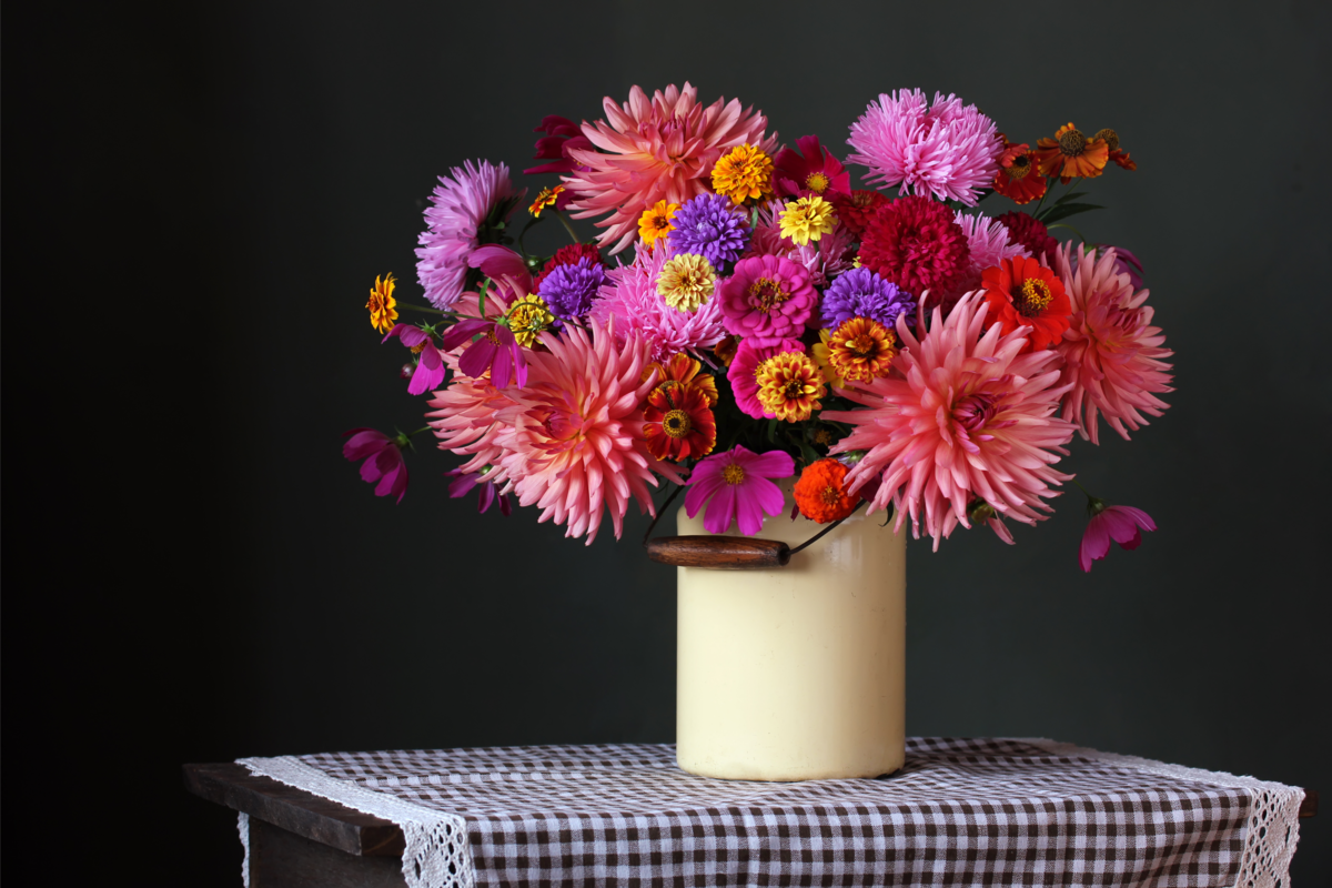 Vaso com flores dálias de variações e cores diferentes, sobre a mesa de toalha xadrez.